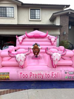 Pink bull 13x13 ft