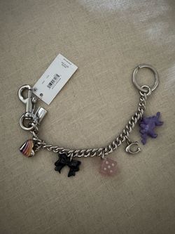 Coach bag chain