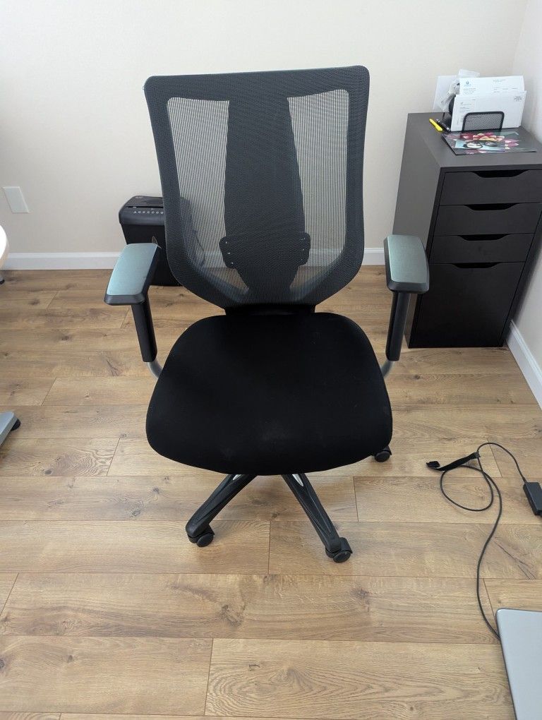 Computer/Office Chair