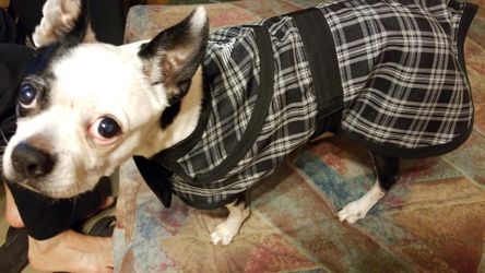 Tuffrider dog blanket size medium