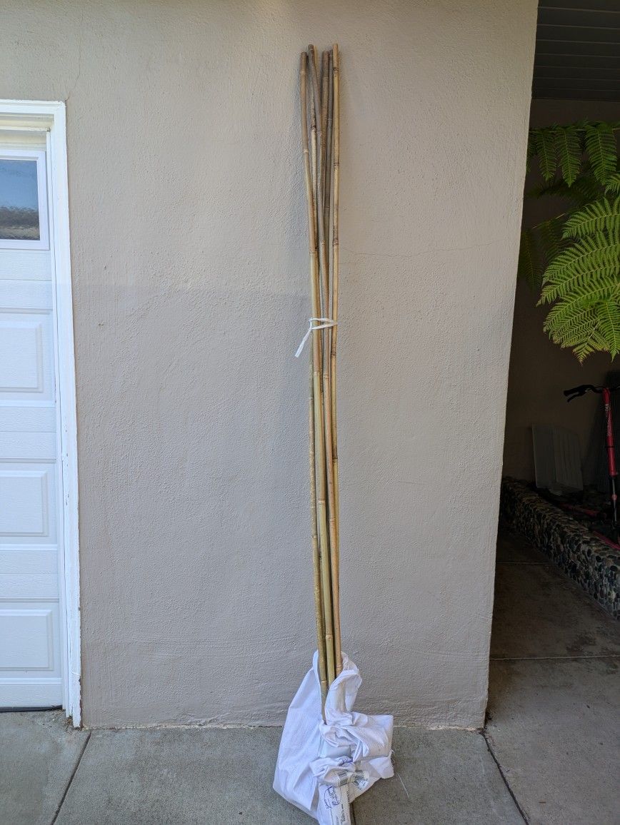 Six bamboo poles 8ft long 3/4 inch dia