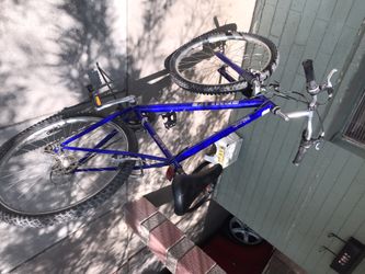 Adult bike