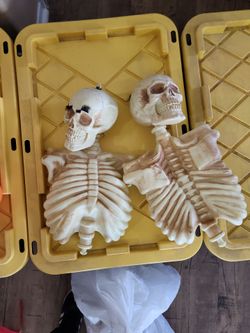 2 skeletons