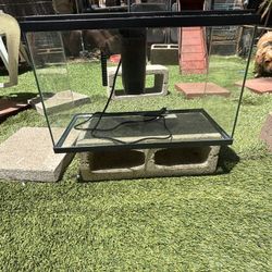 10 Gallon Fish Tank 