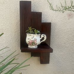 shelf with real succulents