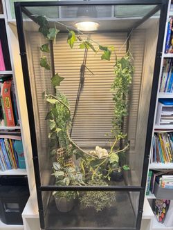 Black Terrarium