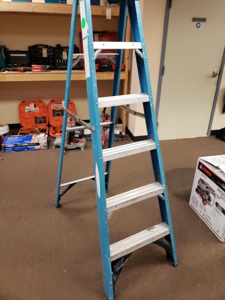 Werner 6 Foot Fiberglass Step Ladder