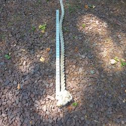 Rope