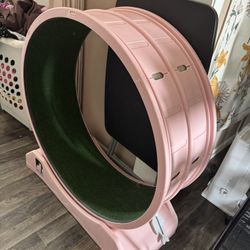 Cat Exercise Wheel