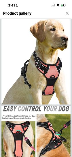Harness