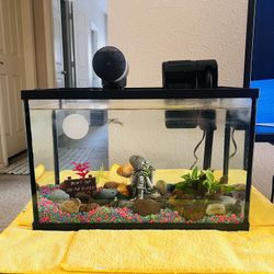 Beautiful 5-Gallon Fish Tank with Fish & Decor – Ready to Go!