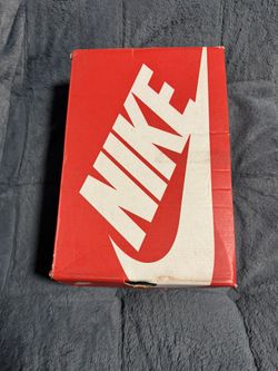Nike Dunk Low Pure Platinum