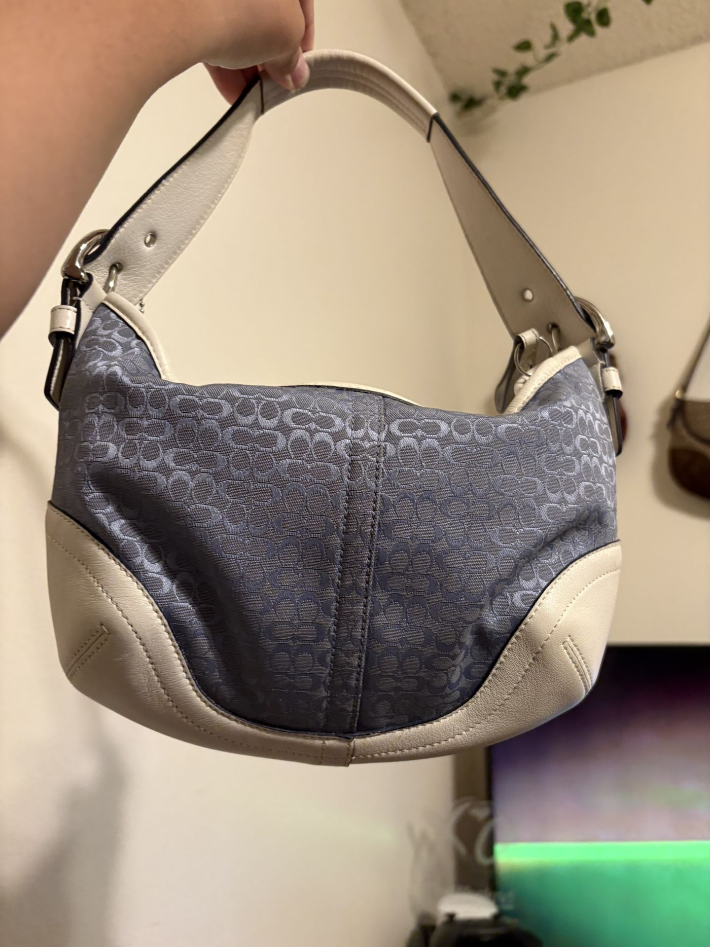 blue hobo coach bag