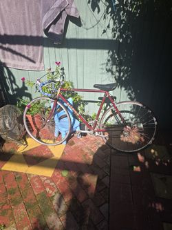 Raleigh Olympian