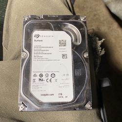Seagate Skyhawks 2TB data