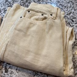 Urban Outfitters, BDG Wide Leg, Corduroy Pants