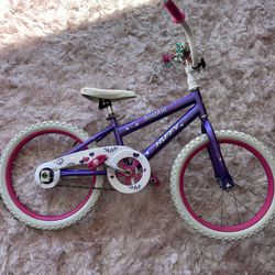 Girls Bike 16 Inch Wheels 