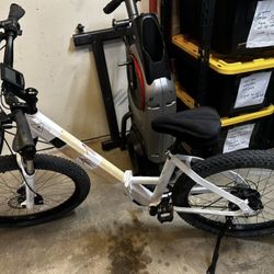 Stolen White Electric Bike