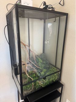 Reptile terrarium