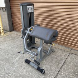 Paramount Commercial Bicep Curl/ Tricep Extension Combo
