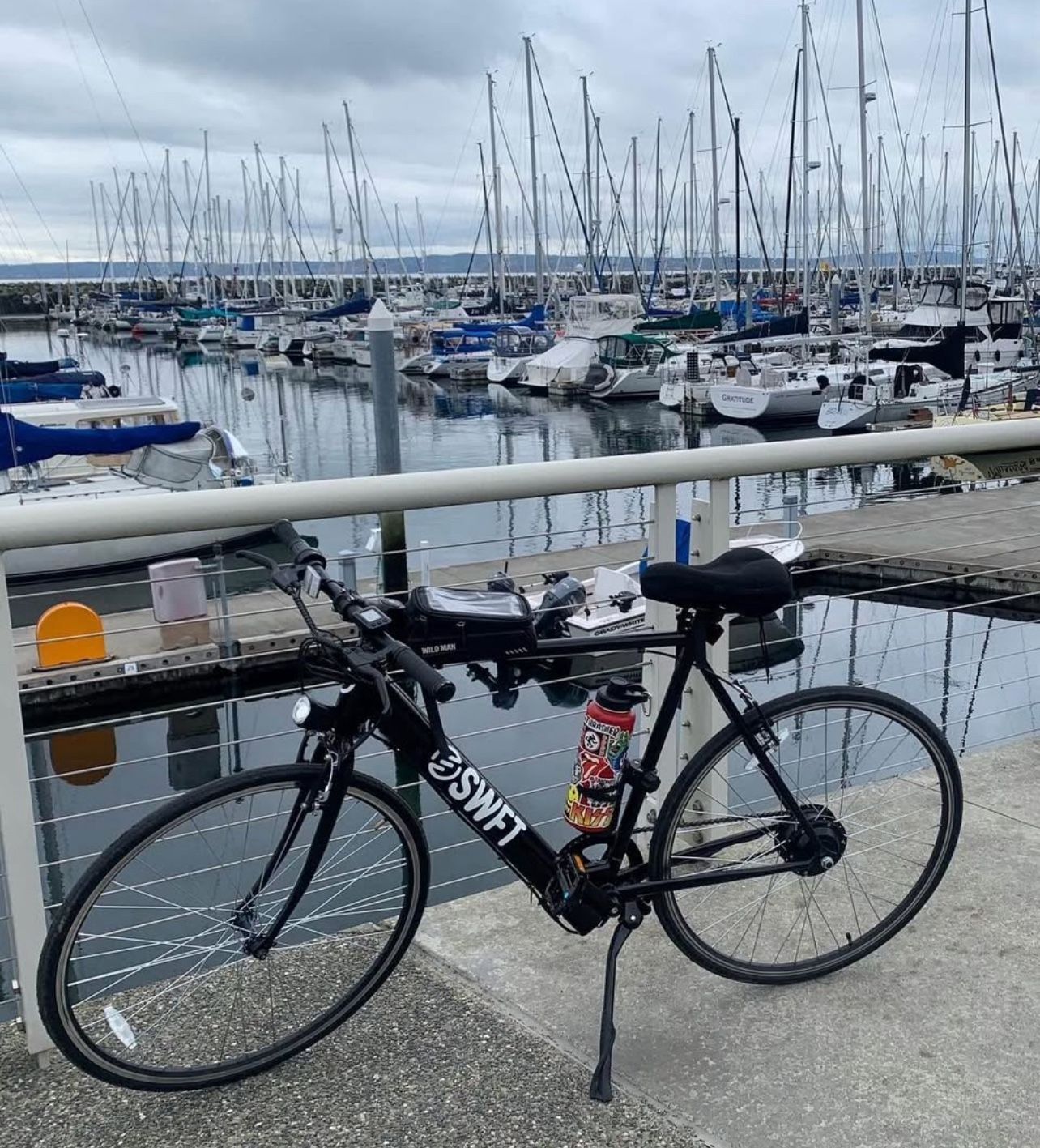 Electric Assist Bike