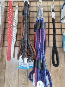 Leashes Collars