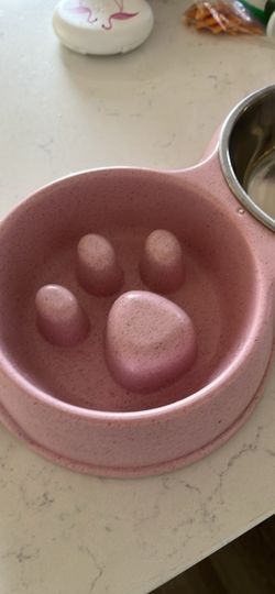 Dog bowl