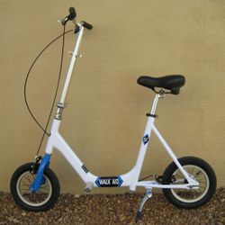 Walk-Aid Scooter