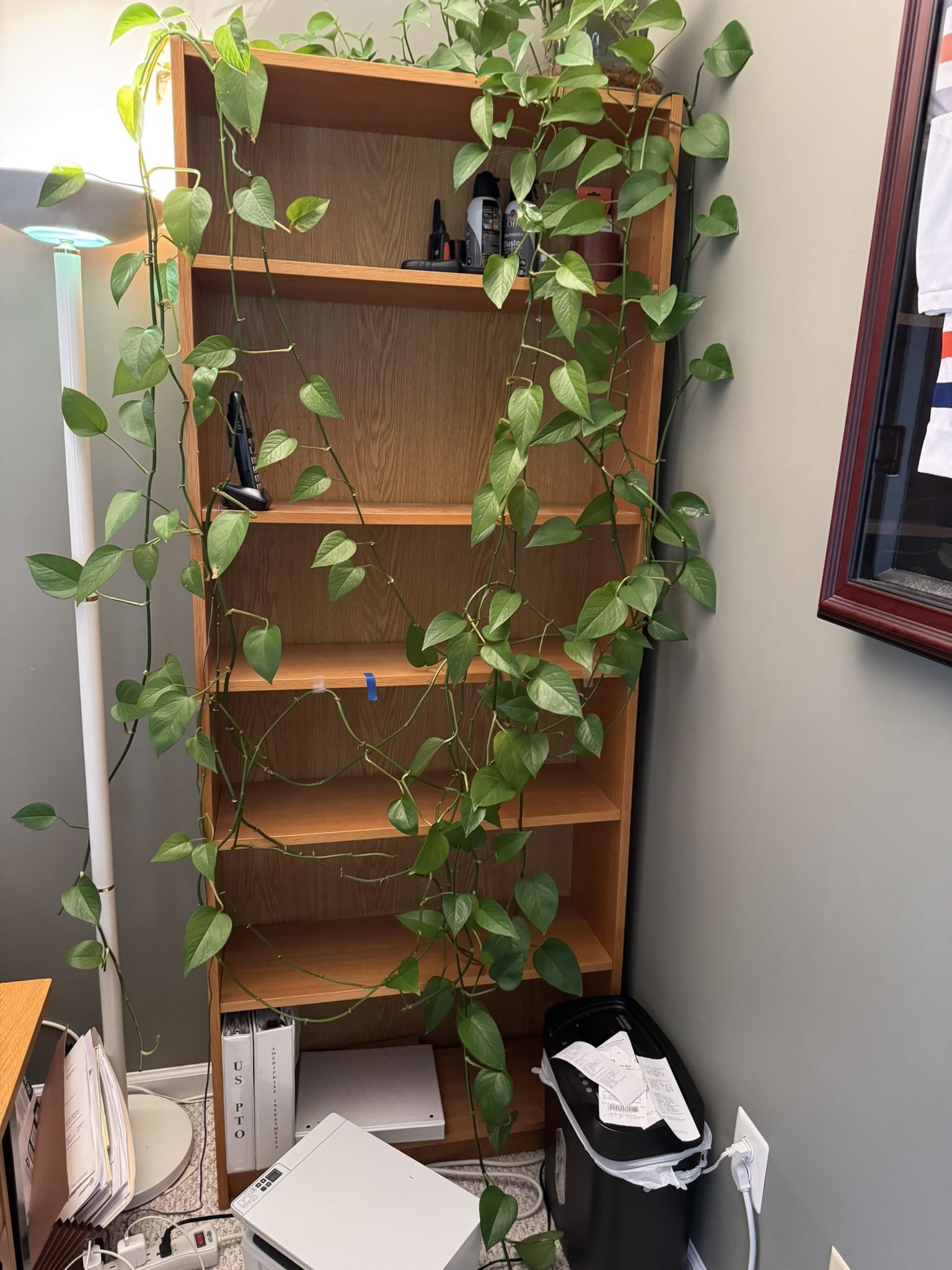 IKEA bookcase