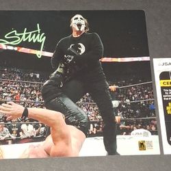 🔥 Sting autographed 8x10 JSA COA 🔥