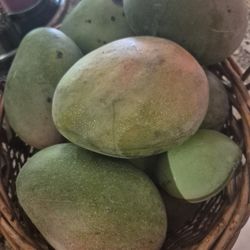 Mangoes KATE big Organic Ssle 