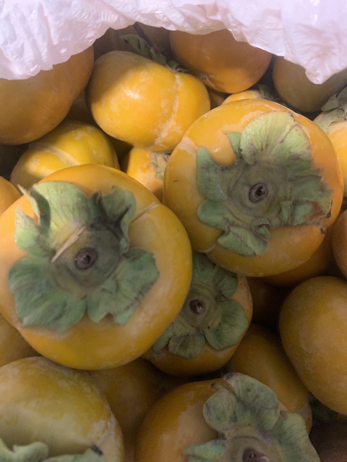 Perdimos. Fruta Muy Rica