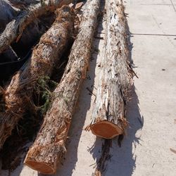 Palapas.fence. Porchs Cedar Post 