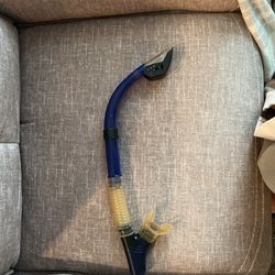 Snorkel