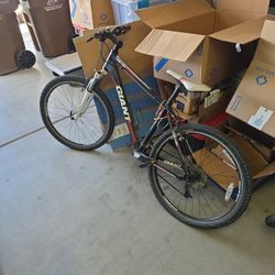 Giant Bike