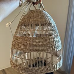 Lampshades Pendant Light