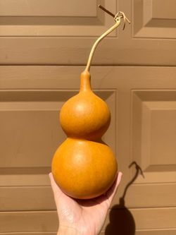 Handpicked Naturally Dried Whole Gourd – Perfect Shape – Home Decor