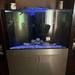 60 Gallons Salt Water Fish Tank 
