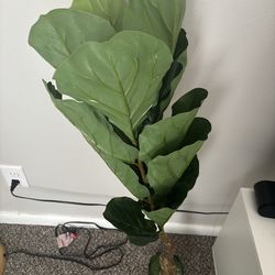 2 faux plants