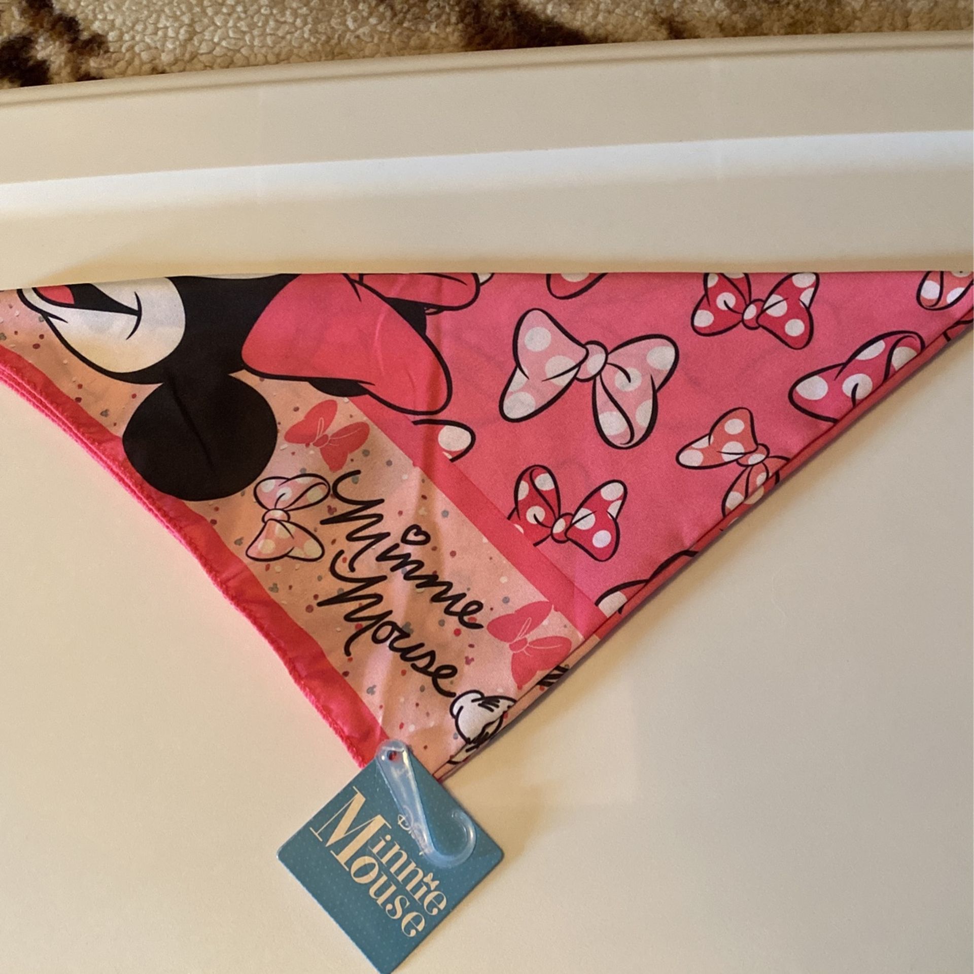 Bandanas Minnie Mouse-Frozen Elsa-Paw Patrol (2 Left Of Each)