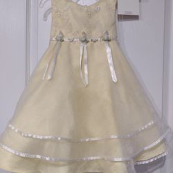 Fancy Toddler Dress 