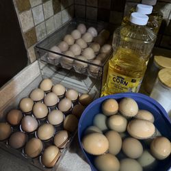 Farm raised chicken eggs