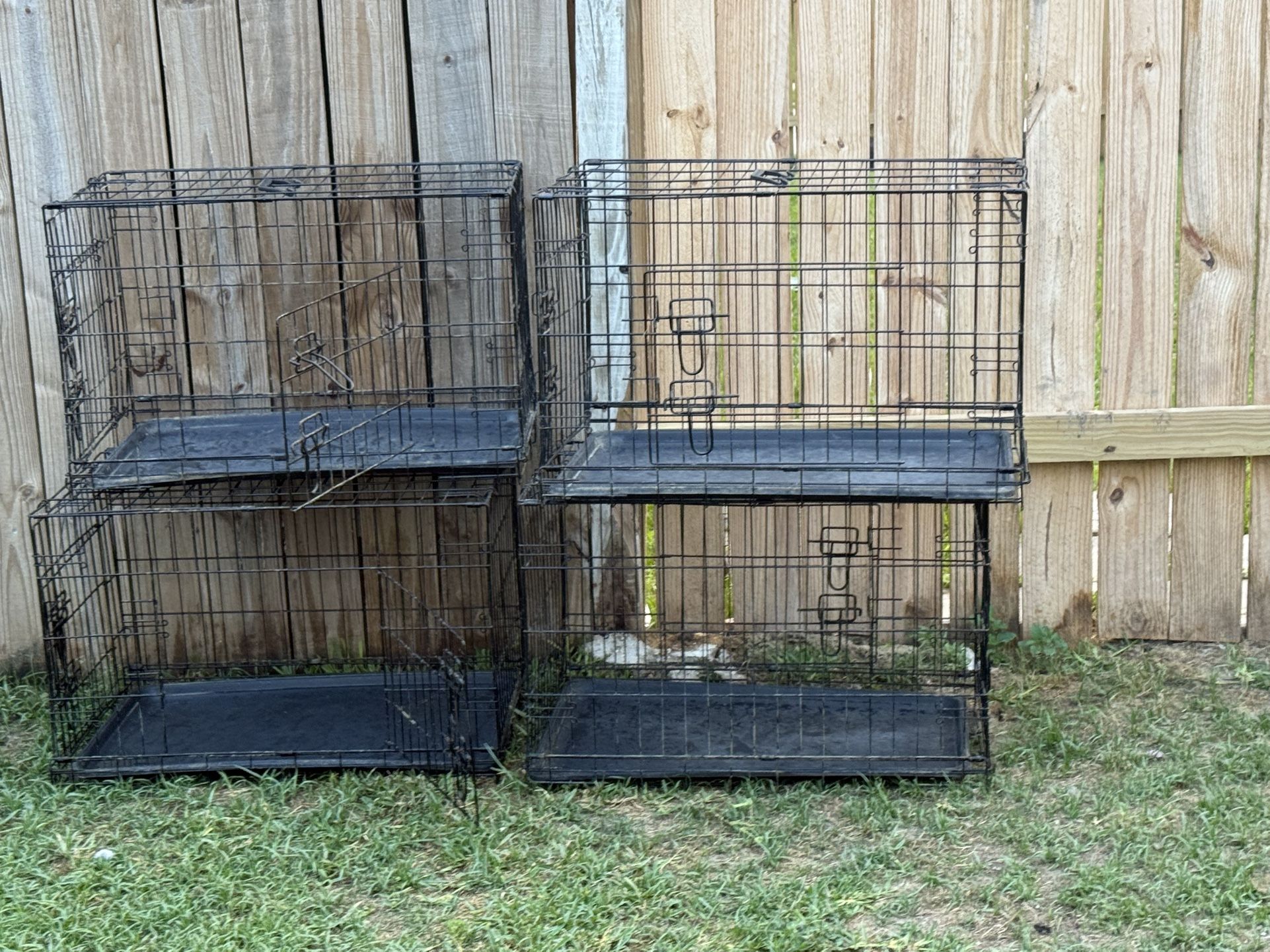 30 In Kennel