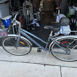Infinity Hybrid Bike