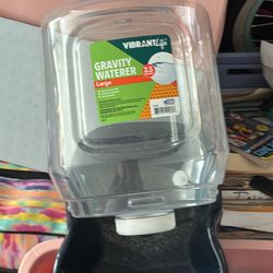 Dog  Clothes & Accessories 