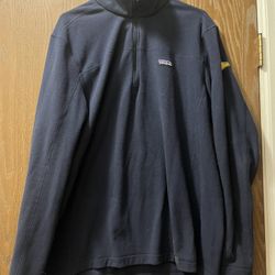 Patagonia Branded Micro D Fleece Quarter Zip Pullover