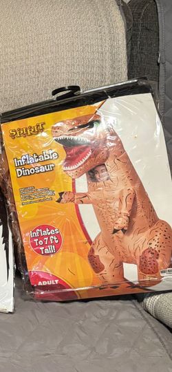 Dino costume
