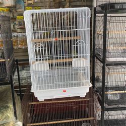 Parrot Cage