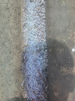 Free big carpet