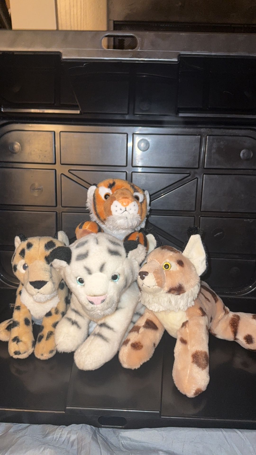 Aurora Stuffy Collection